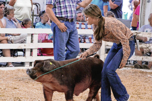 IT’S SHOWTIME: 4-Hers share what they’ve learned from showing animals