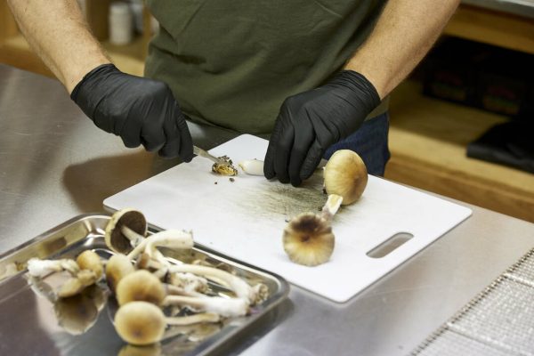 Senate committee hears testimony on ‘magic mushrooms’ as relief for pain and depression